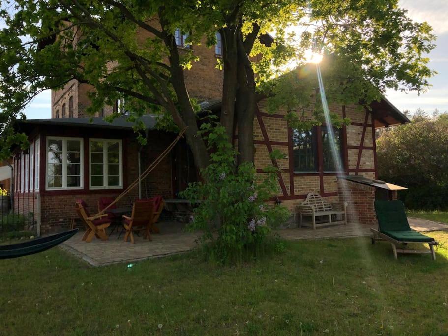 Romantisches Studio Am Waldesrand Mit Gartensauna Schwarz Eksteriør billede
