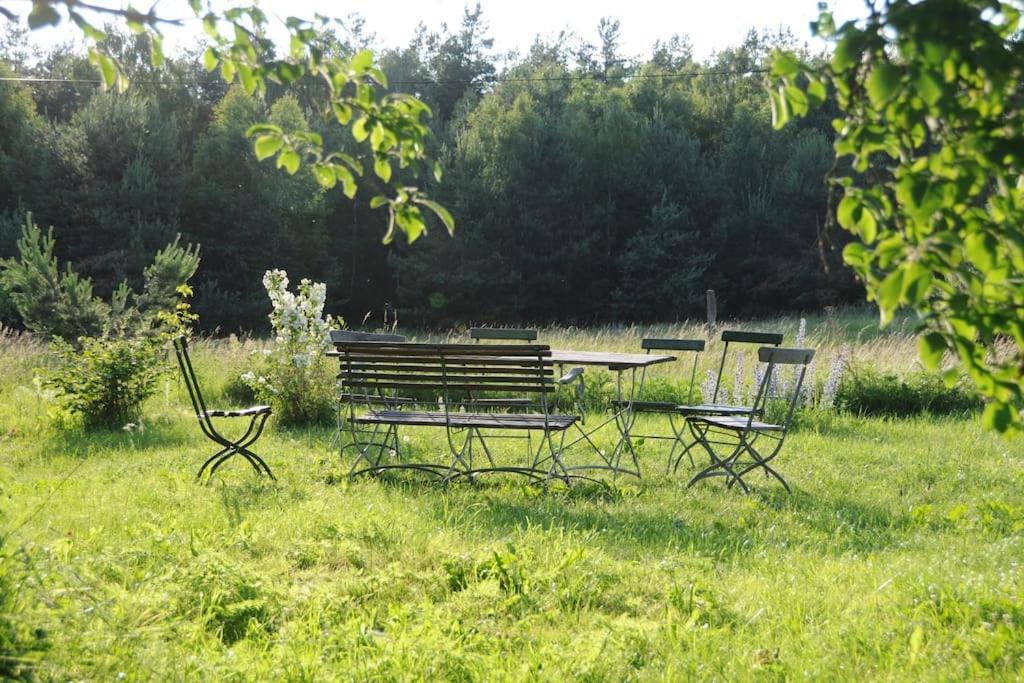 Romantisches Studio Am Waldesrand Mit Gartensauna Schwarz Eksteriør billede