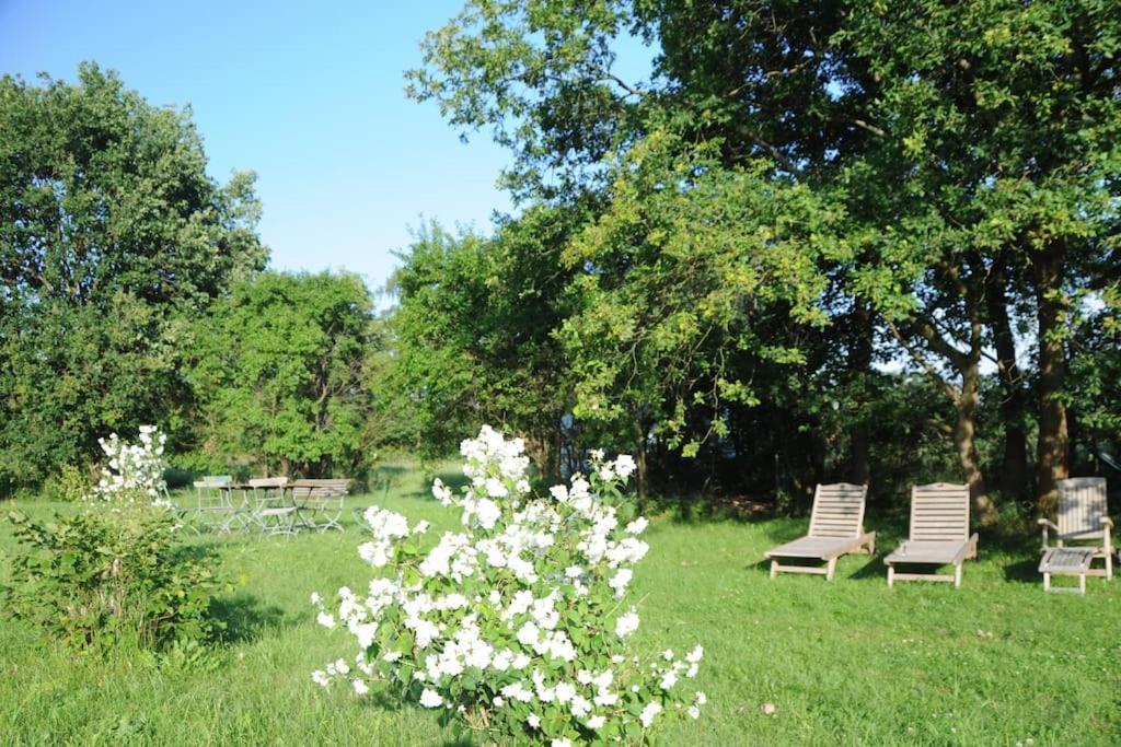 Romantisches Studio Am Waldesrand Mit Gartensauna Schwarz Eksteriør billede