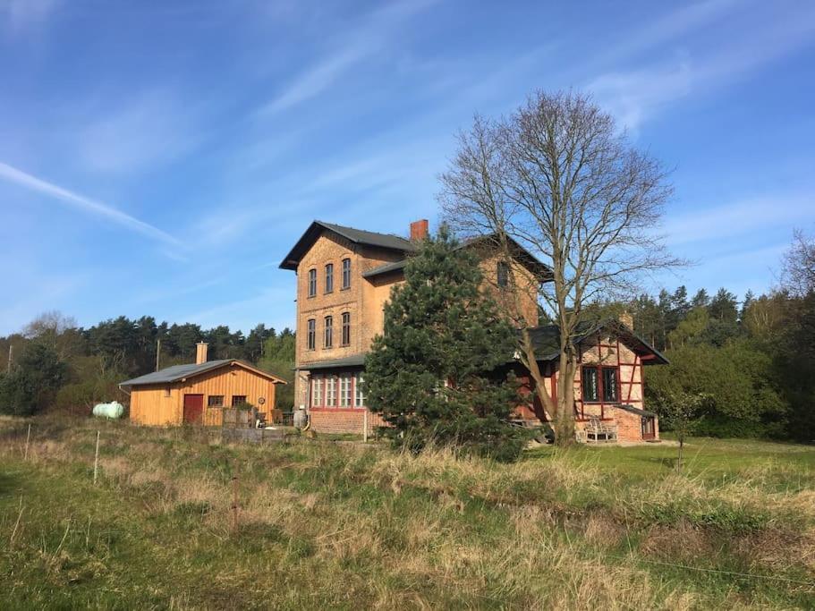 Romantisches Studio Am Waldesrand Mit Gartensauna Schwarz Eksteriør billede