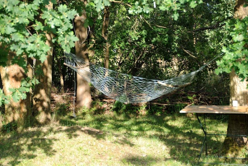 Romantisches Studio Am Waldesrand Mit Gartensauna Schwarz Eksteriør billede