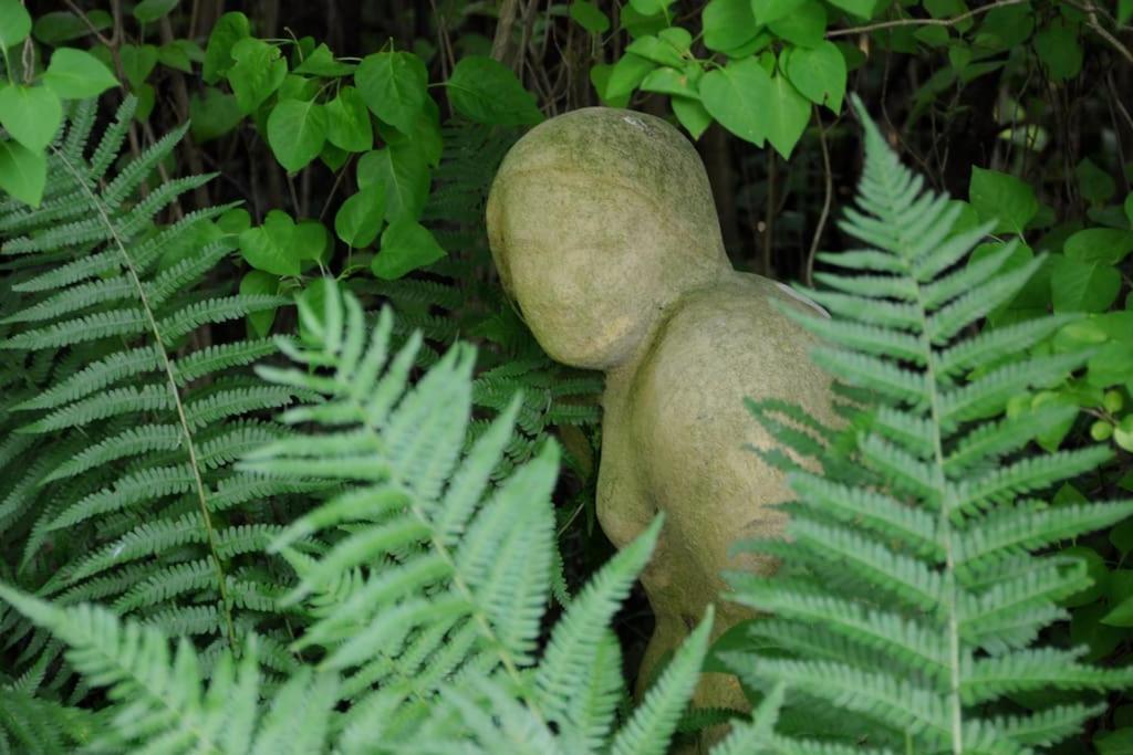Romantisches Studio Am Waldesrand Mit Gartensauna Schwarz Eksteriør billede
